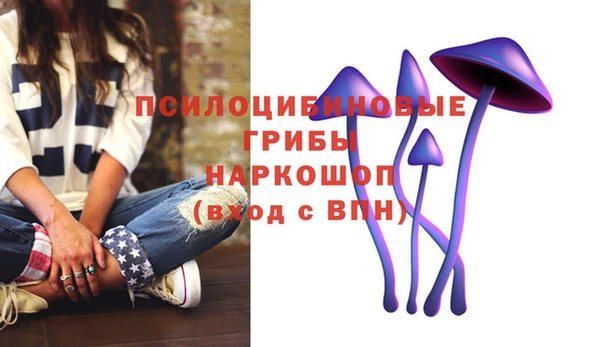 ПСИЛОЦИБИНОВЫЕ ГРИБЫ Карталы