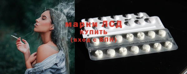 spice Карпинск