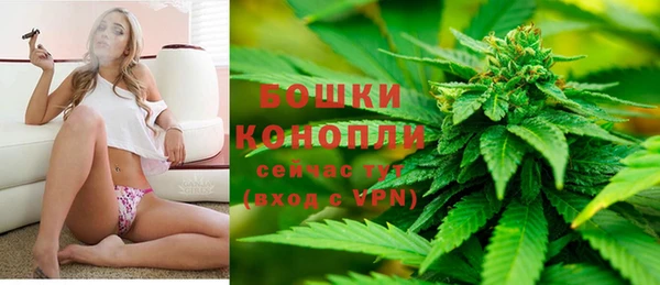 Альфа ПВП Касимов