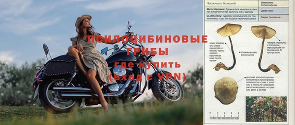 spice Карпинск
