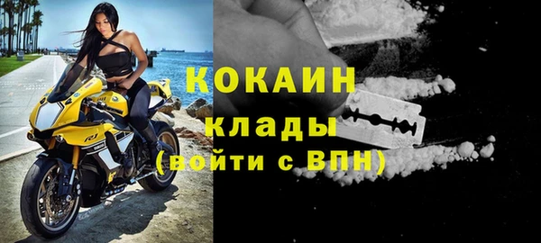 ПСИЛОЦИБИНОВЫЕ ГРИБЫ Карталы