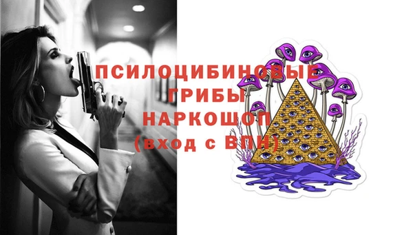 Альфа ПВП Касимов