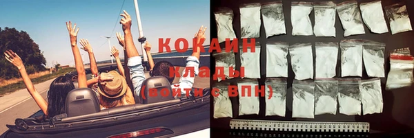 ПСИЛОЦИБИНОВЫЕ ГРИБЫ Карталы