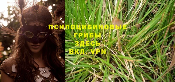 spice Карпинск
